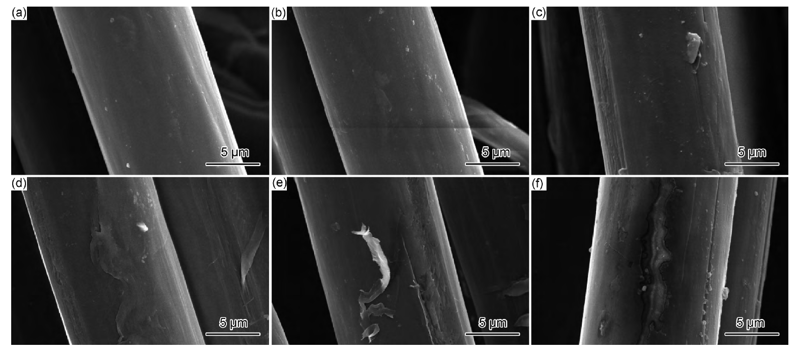 PI纖維等離子體表面處理前后的SEM圖