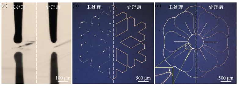 圖1-1 (a)等離子體處理前后PI表面電流體噴印時(shí)噴嘴狀態(tài);(b)處理前后PI表面打印圖案對(duì) 比;(c)處理前后陶瓷表面打印圖案對(duì)比。 