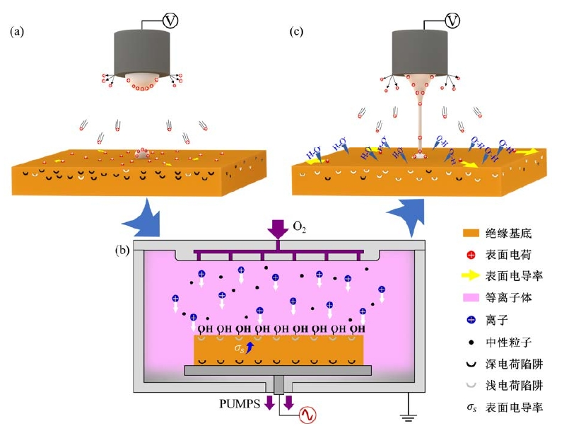 等離子體處理輔助電流體噴印工藝的原理示意圖