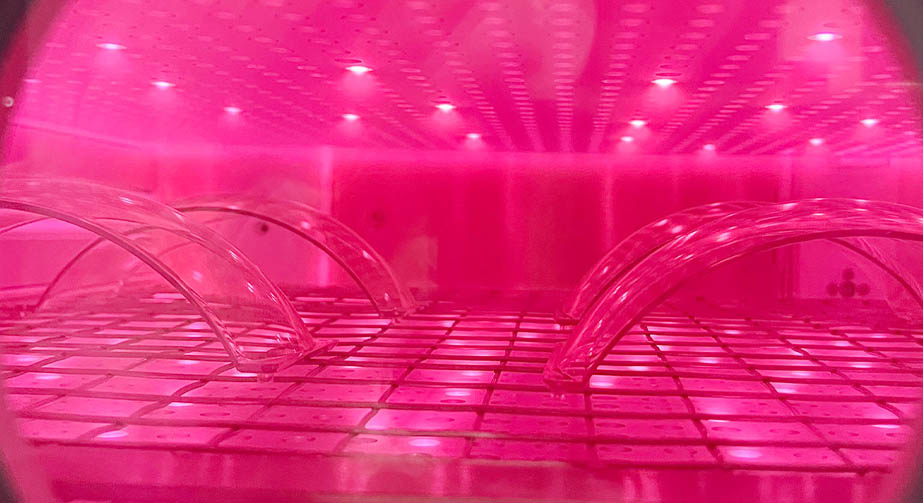 等離子體清洗技術(shù)分類、特點(diǎn)